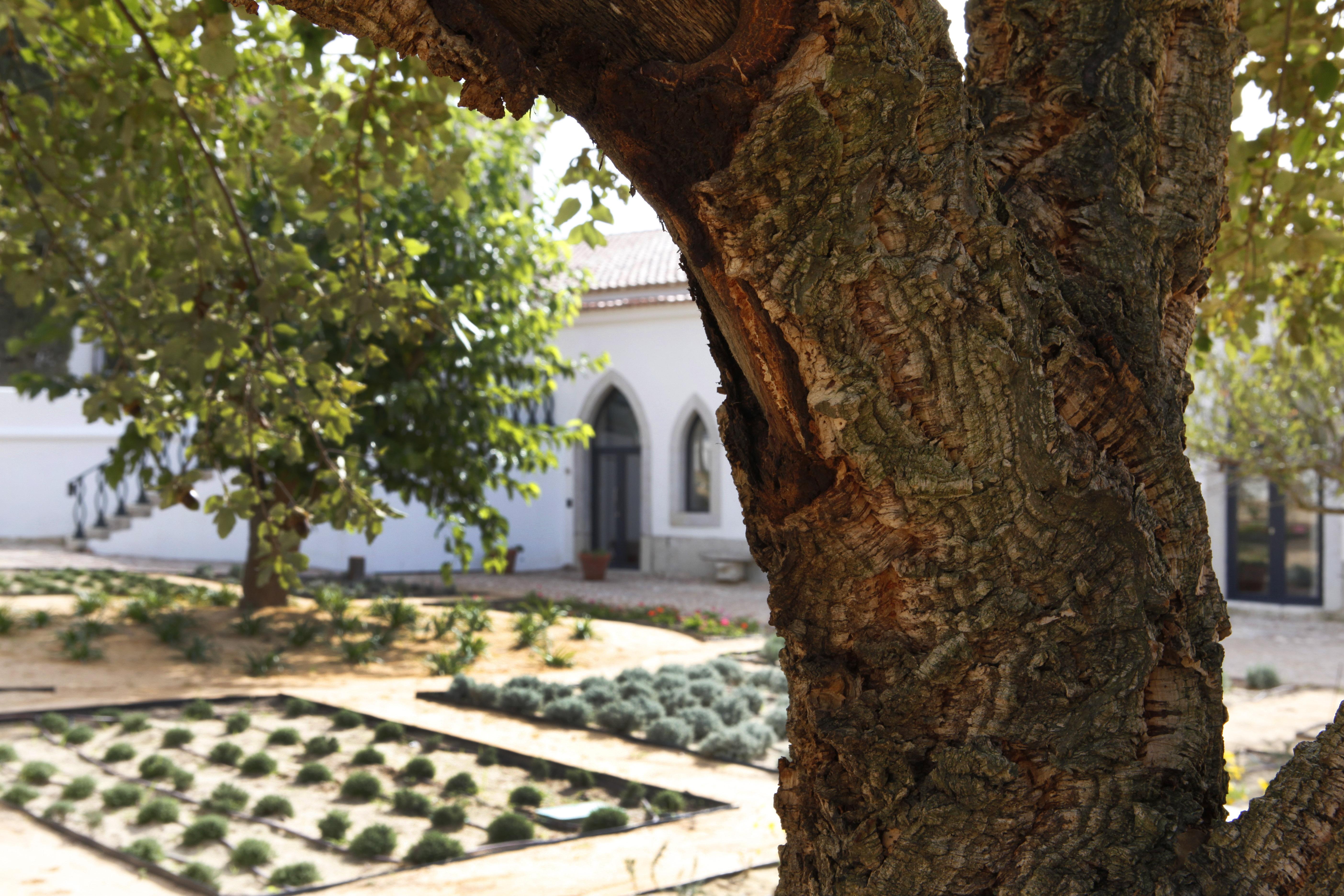 Hotel Casa Palmela - Small Luxury Hotels Of The World, Hotel & Villas Setubal Ngoại thất bức ảnh